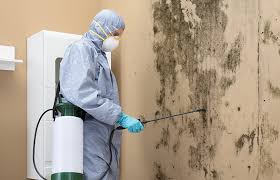 Trusted Ford City, CA Mold Removal Experts